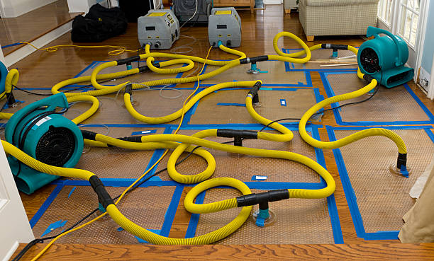 Professional Crawl Space Water Removal technician working in New Boston, TX